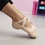 Jw Stretch Canvas Ballet Dance Shoes