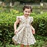 Kids Dress Casual Party Pinafore Flower Dress Ruffle Shoulder Floral Baby Girl's Dresses