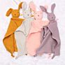 Kids Plush Bunny Baby Blanket Rabbit Bear Comforter