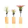 Lazy Plant Growing Holder Tillandsia Wooden Standing Holder Wooden Block Display Rack for Air Plant