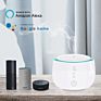 Lonten Wifi Wireless Essential Oil Diffuser Aromatherapy Humidifier Smart Home Automation Mold Compatible with Alexa Google