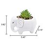 Lovely Elephant Shape Ceramic Succulent Planter Animal Ceramic Plant Pot