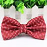 Men Formal Cotton Bow Tie Mens Classical Dot Bowties Women Colorful Butterfly Wedding Party Bowtie Tuxedo Ties