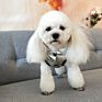 Metallic Color Puppy Costume Silver Pet Cat Jacket