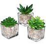 Mini Clear Glass Cube Planters Display Vases Artificial Succulent Plant Pots for Indoor Plants