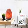 Mini/Large Floor Aroma Diffuser Himalayan Pink Hamalia Crystal Salt Shape Lamp Natural Rock Humidifier Plug In