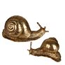 Modern Home Interior Decoration Items Matt Gold Resin Snail Sculpture for Living Room