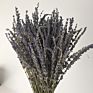Natural Dried Lavender Flowers Packed in Buches for Home Decoration