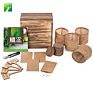 Non Gmo Herb Plant Diy Natural Bonsai Herb Garden Starter Kit for Decor