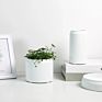 Nordic Indoor Gardening Planter Flower Pot Cement