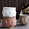 Nordic Style Potted Face Ceramic Flowerpot Creative Home Multi Meat Basin Decoration Storage Tank