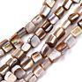 Pandahall Nuggets Camel Natural Freshwater Shell Beads