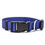 Personalized Logo Plastic Buckle Adjustable Plain Nylon Dog Collar