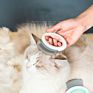 Pet Supplies Pet Comb Cat Comb to Remove Floating Hair Pet Grooming Comb Cat Cleaning Supplies