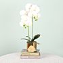 Pink Artificial Simulation Phalaenopsis Bonsai Pot