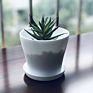 Plastic Plant Pot with Saucer, Decorative Plastic Gardening Flower Pot