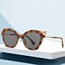 Popular Retro Rhinoceros Horn Shape Cat -Eye Frame Sunglasses for Women and Men