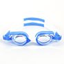 Professional Swimming Goggles with Certificate
