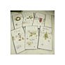 Promotional Top Christmas Supplies Greeting Card Sleeve