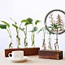 Propagation Test Tube Station 3 Glass Test Tube Vase Planter for Hydroponic Plants Home Garden Decoration - 3 Test Tube