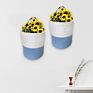 Baskets For Plants