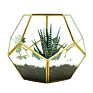 Qy Diamond Shape Hanging Miniature Air Plants Glass Terrarium Vase for Wedding Home Decor