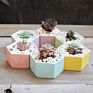 Rainbow Hexagon Flower Pot Ceramic for Planter