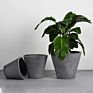Rectangular Reusable Succulent round Concrete Planter Molds