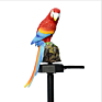 Resin Parrot Solar Light Outdoor Waterproof Garden Lawn Ground Plug Landscape Light