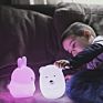 Sitting Room Led Camping Lantern Long Friendship Lighting Beauty Bear Baby Led Lamps for Bedroom