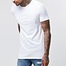 wholesale Slim Fit Men's Plain White t-shirts 100% cotton