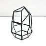 Small Geometric Shaped Terrarium Brass Glass Planter Holder Table Vase