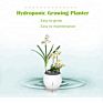 Sol Self-Watering Plant Natural Air Humidifier Planter Smart Indoor Herb Garden Ecological Negative Anion Flower Pots