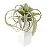 Style Faux Flower Fake Grass Artificial Plant Air Plant for Home Decoration