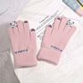 Style Plush Gloves Stretch Knitted Gloves Autumn and Girls Cute Cold-Proof Touch Screen Student Warm Gloves