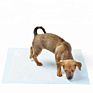 Super Water Absorption 5-Layer Pet Pee Pads Reusable Puppy Training Pads for Dogs