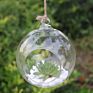 Terrarium round Globe Shape Clear Hanging Glass Vase Flower Plants Terrarium Container Micro Landscape