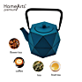 Theiere Fonte Cast Iron Teapot with Stainless Steel Filter 0.8L Tea Pot Kettle