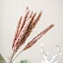 Top Sellers Decorative Indoor Grass Dried Flower Natural Color Pampas Grass for Home Decoration