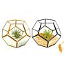 Typ3134 Modern Rustic Art Style Hanging Air Plant Holder Himmeli Geometric Planter Metal Airplant Rack Tillandsia Hanger