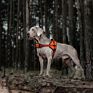 Vertex Power Harness Reflective Outdoor Dog Harness Pet Harness Fit for Large or Strong Dogs