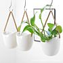 White Ceramic Flower Hanging Succulent Hydroponic Flower Pot Belt Wall Hanging Planter