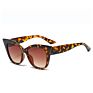 Women Clear Sun Glasses Cateye Shades Eyewear White Cat Eye Sunglasses