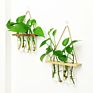 Wooden Stand Popular Hanging Planter Vase Glass Tube Hanging Plant Terrarium Container