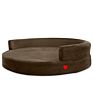 Year Certipur -Us Popular Cheapest Orthopedic Memory Foam Soft Pet Bed Dog Bed Fabric with Bolster