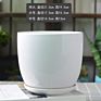 Ins Matte Glazed Ceramic Planter Pot with Saucer Modern round Decor Indoor Planter with Drainage Hole for Plants