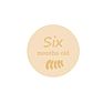 Nursery Milestone Card Set Pregnancy Milestone Laser Cut Wooden Baby Nursery Decor