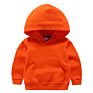 Kids Fall Clothing 100% Cotton Kids Clothes Blank Unisex Girl Boy's T Shirts Kid Hoodie Hoodies