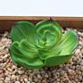 Price the Newest Artificial Succulent Plants Arrangement Faux Mini Cactus Succulents