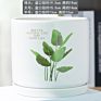 Ins Matte Glazed Ceramic Planter Pot with Saucer Modern round Decor Indoor Planter with Drainage Hole for Plants